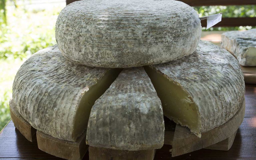 Green Cheese - Bulgarian Food