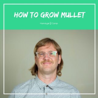 how to grow mullet