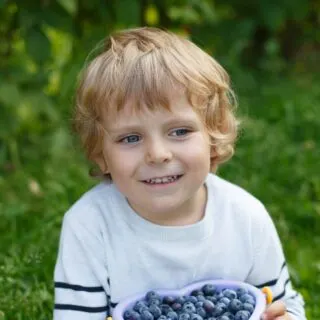 2 year old boy haircuts