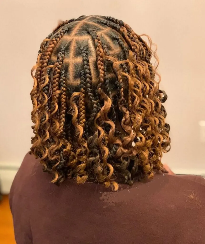curly crochet bob box braids