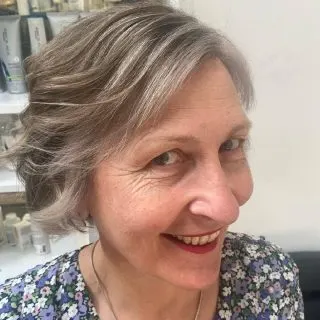 gray hair with dark highlights
